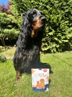 PET KIT - Lekárnička pre psy a mačky (1)