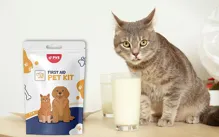 PET KIT - Lekárnička pre psy a mačky (5)